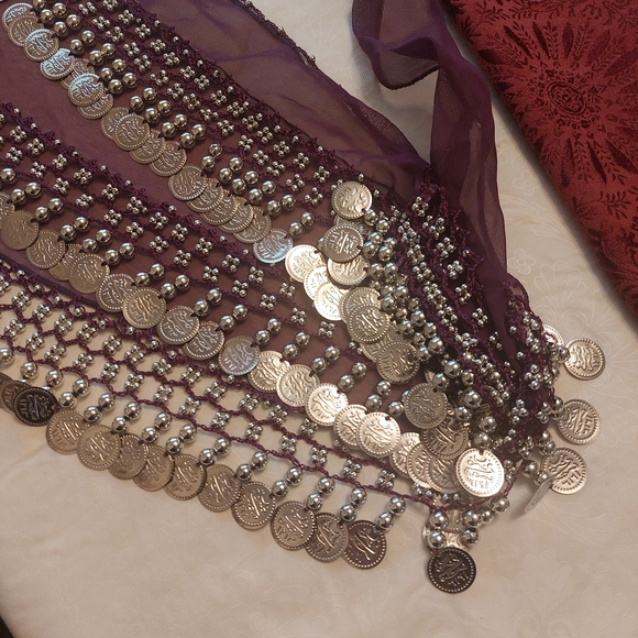 Belly Dance Purple Chiffon Hip Scarf Coin Belt - Picture 14 of 14